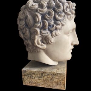 Cast Bust of a Classical Roman Youth -Vintage made by British Museum, London